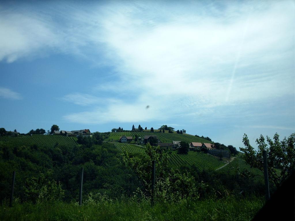Gastehaus Kaiser Διαμέρισμα Kitzeck im Sausal Εξωτερικό φωτογραφία